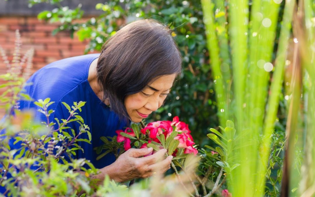 The Sweet Smell of Success