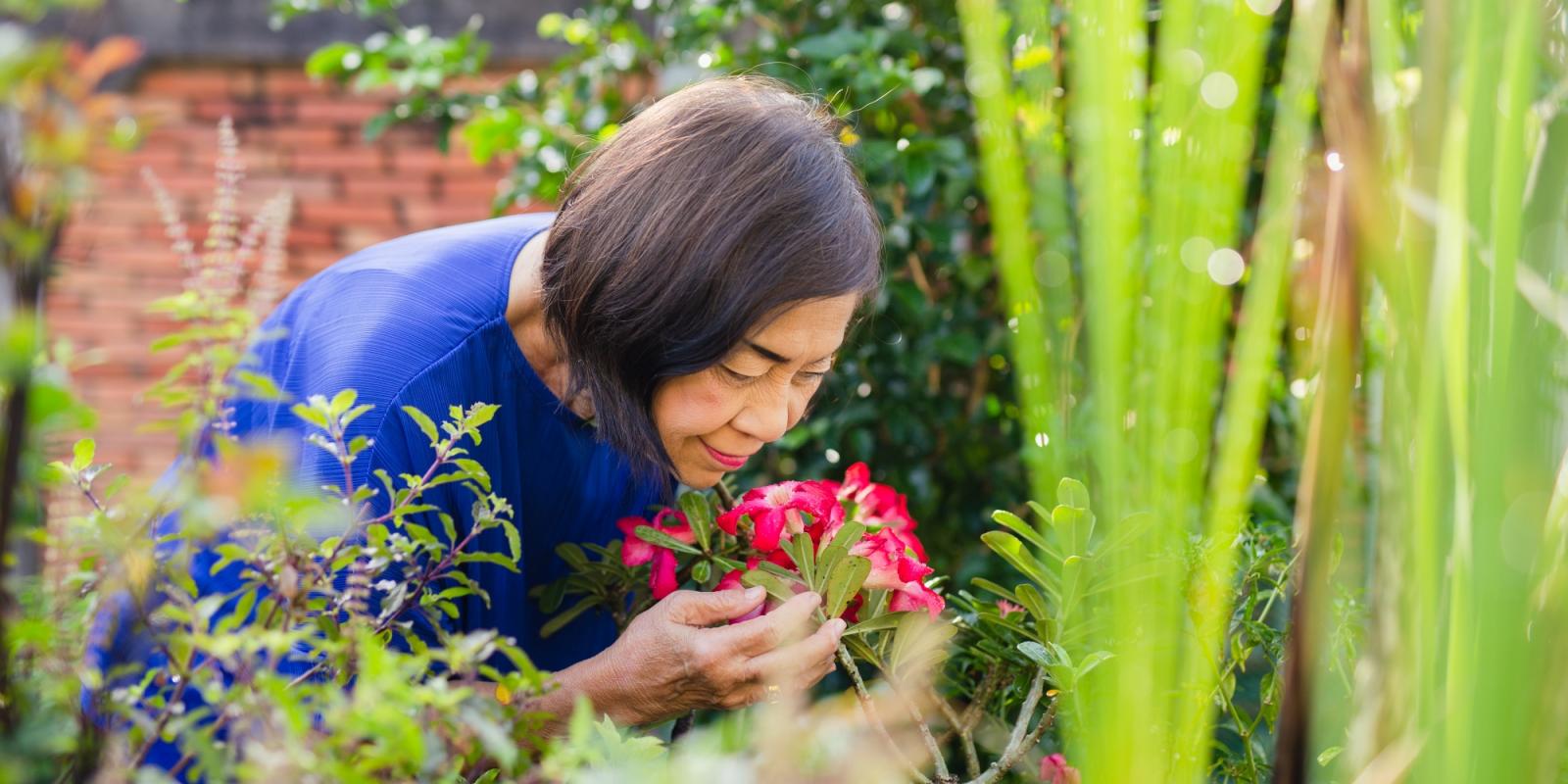 Featured image for The Sweet Smell of Success Featured image for The Sweet Smell of Success