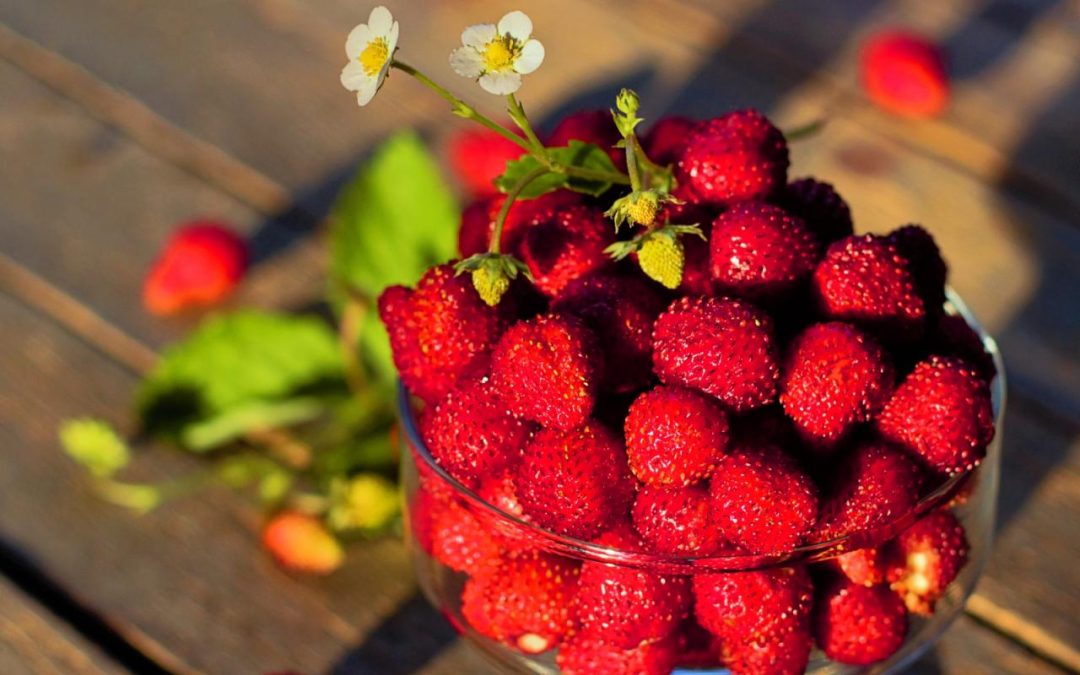 Want to Increase Your Longevity? Practice Sensual Wellness