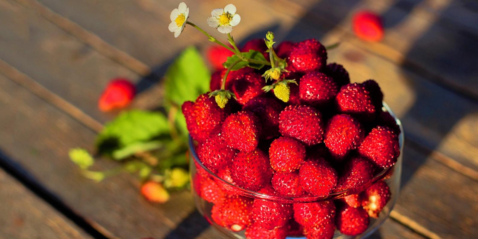 Featured image for To Increase Longevity Practice Sensual Wellness Featured image for To Increase Longevity Practice Sensual Wellness