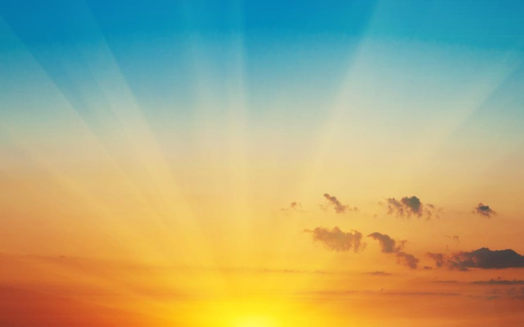 ASA RISE: An Anti-Woke Remedy