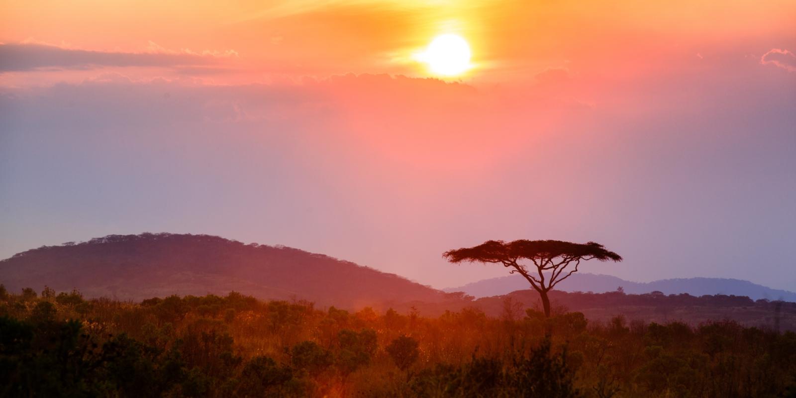 Featured image for Promises Made, Promises Kept