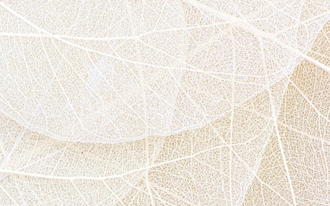 On Ableism, Ageism, and the Intersections Between Them