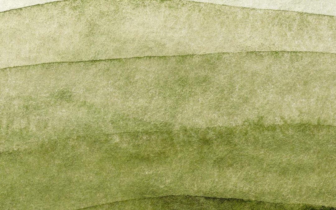 Our Guest Editors: Committed to the Case Against Structural Ageism