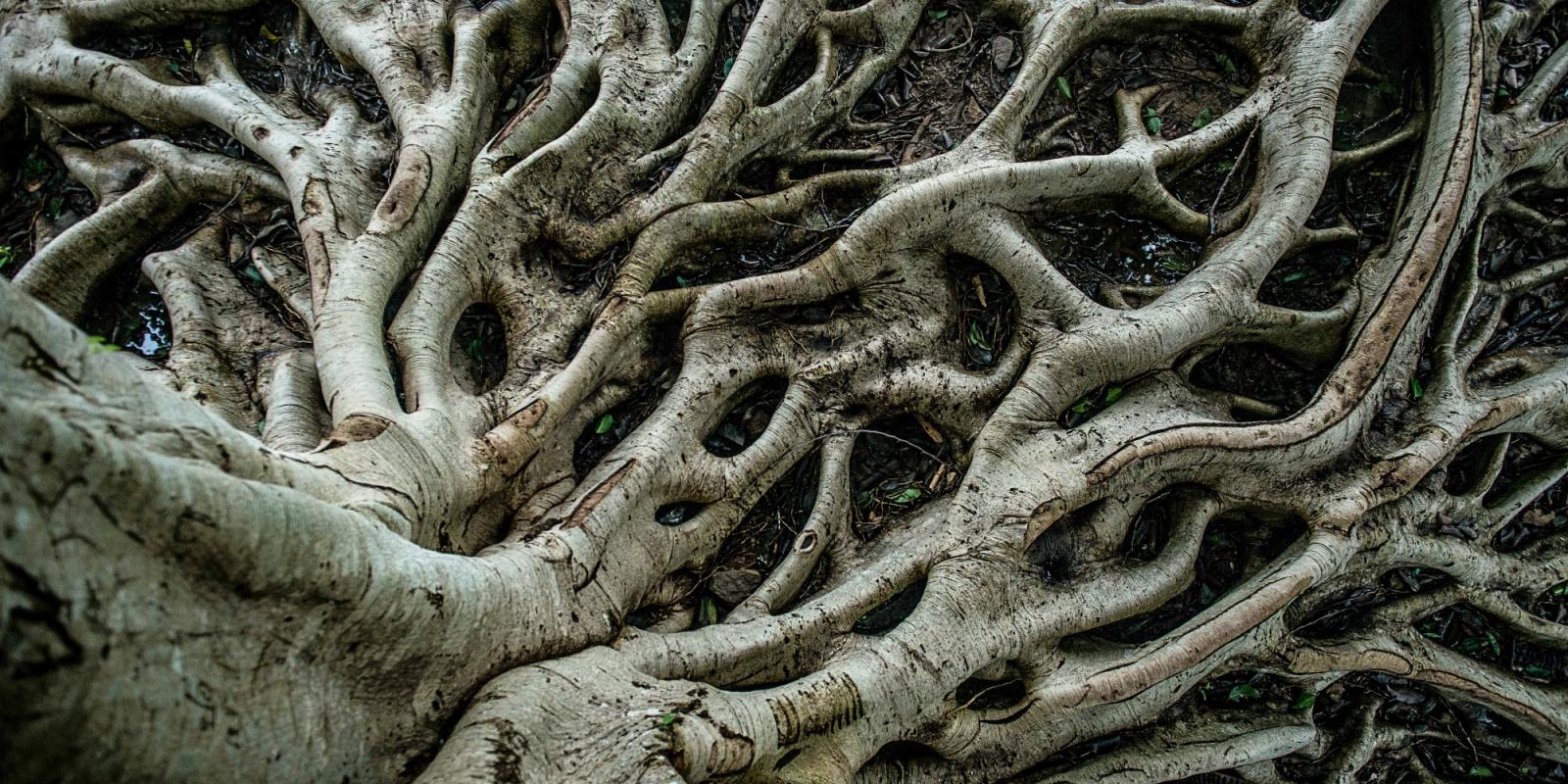 Featured image for What Ageism and Ableism Means for LGBTQ+ Elders Featured image for What Ageism and Ableism Means for LGBTQ+ Elders