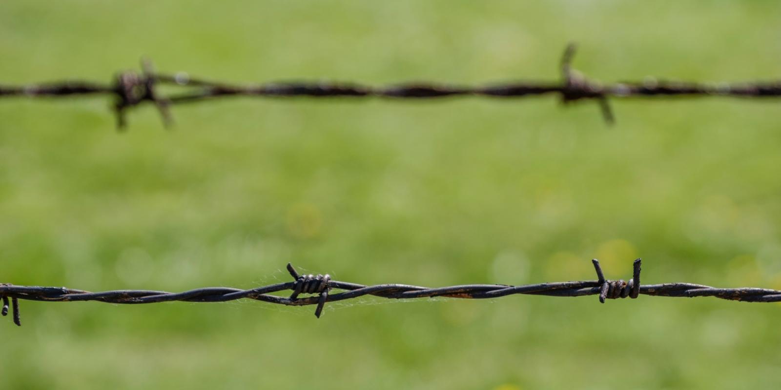 Featured image for When You Listen With Your Heart Featured image for When You Listen With Your Heart