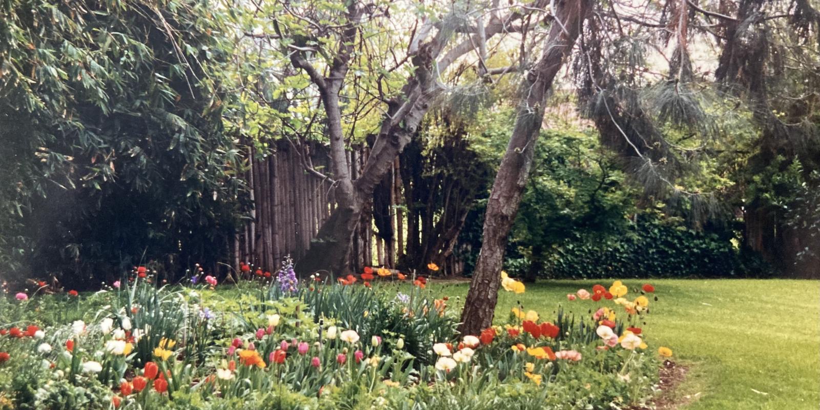 Featured image for Oasis in a Hot, Dusty Town Featured image for Oasis in a Hot, Dusty Town