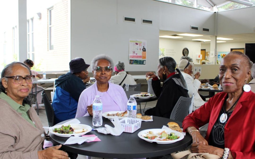 Consulting Program by and for Older Detroiters