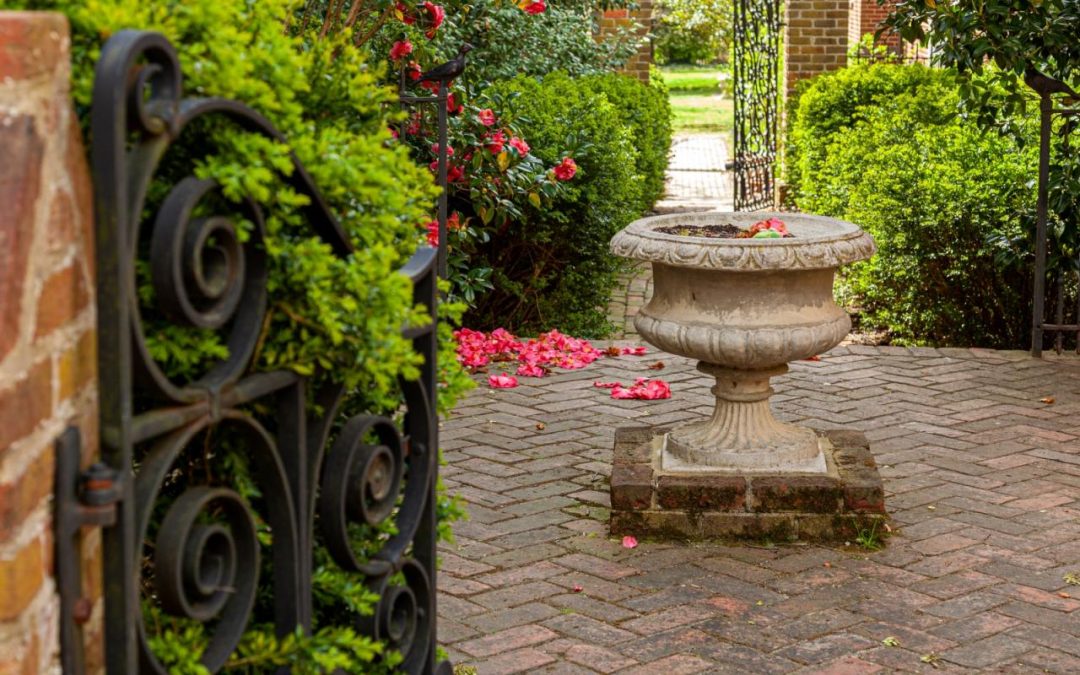 Aging with a History of Trauma: How Service Providers Can Help