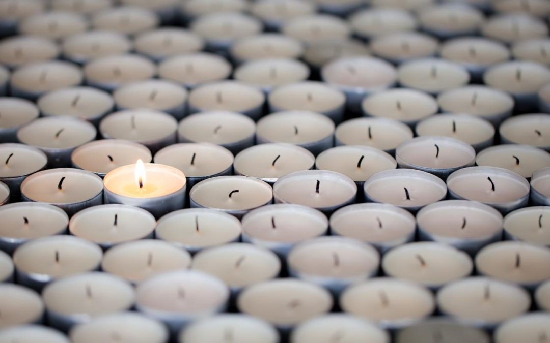 Our Guest Editor: Passionate About Elders’ Resilience