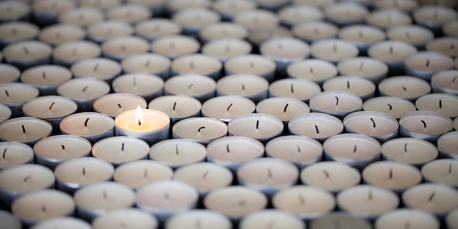 Featured image for Our Guest Editor: Passionate re Elders’ Resilience Featured image for Our Guest Editor: Passionate re Elders’ Resilience