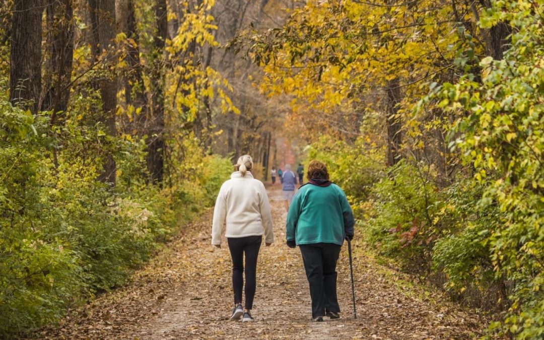 Often Overlooked: Malnutrition with Overweight and Obesity