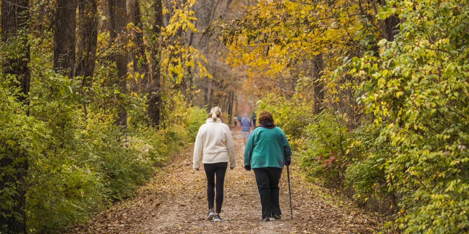 Featured image for Overlooked: Malnutrition w/Overweight and Obesity Featured image for Overlooked: Malnutrition w/Overweight and Obesity