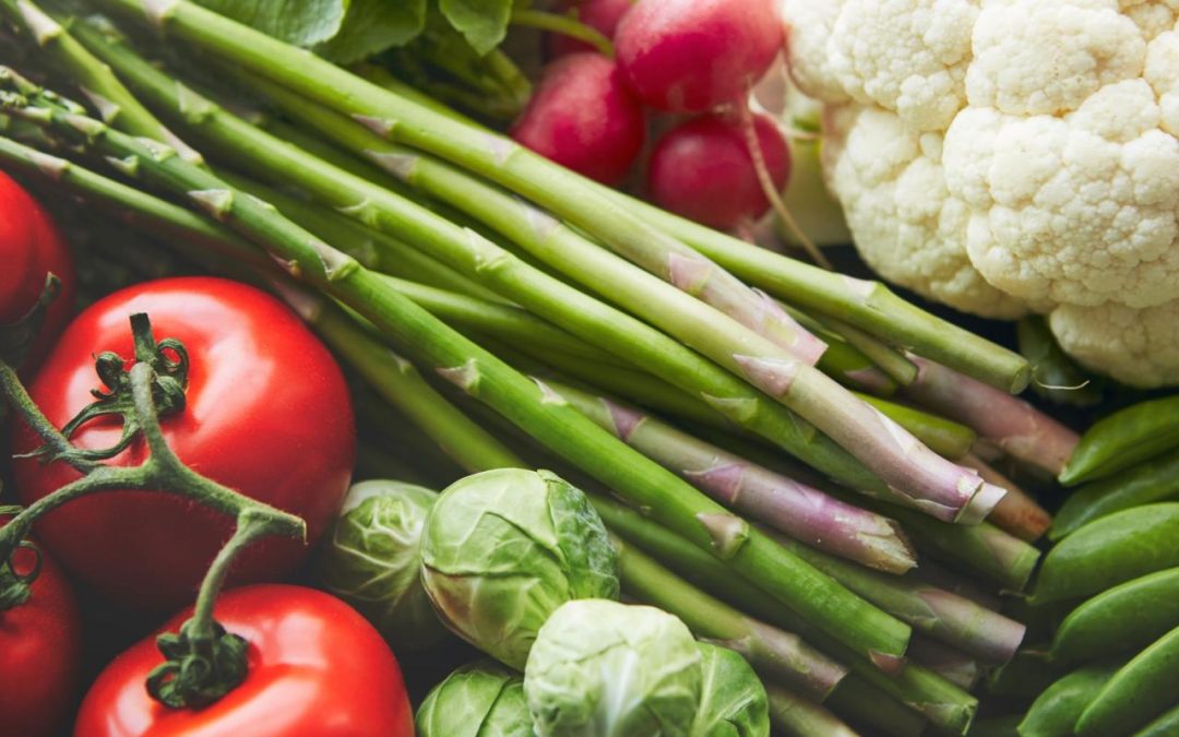 Malnutrition Awareness Week: Fair Access to Nutrition, Food and Health