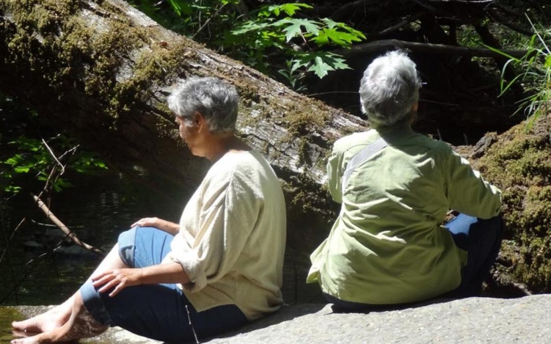 Forest Bathing: An Outdoors Activity Ideal for an Older Population