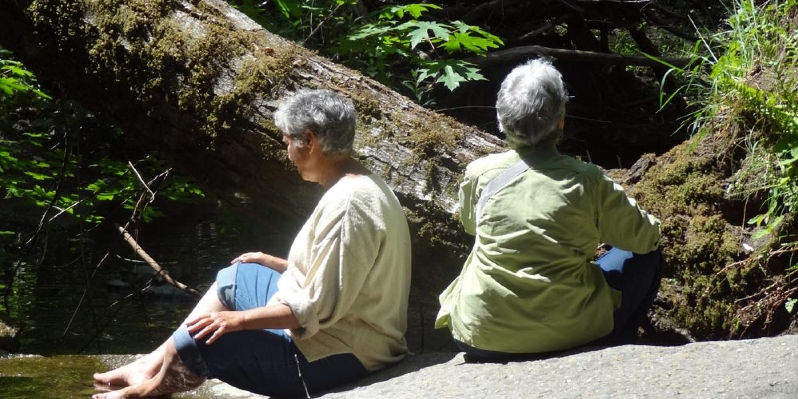 Featured image for Forest Bathing: Ideal for an Older Population