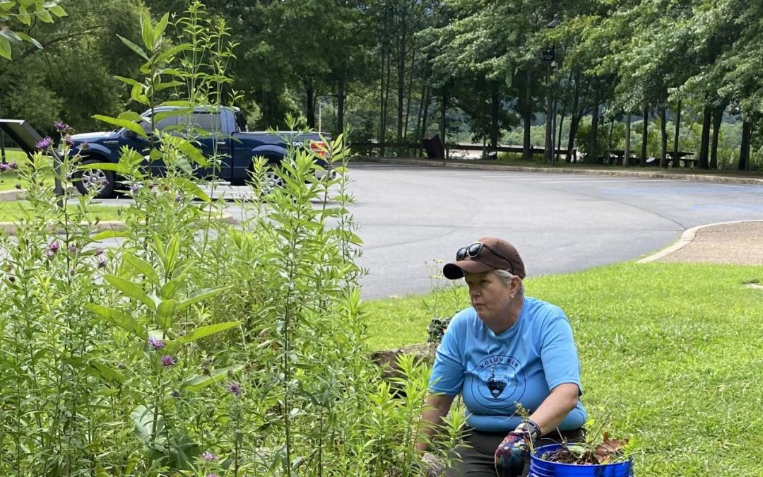 Tending to the Gardens and the Visitors