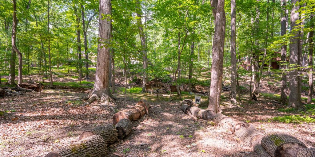 Featured image for When Nature Is a Savior