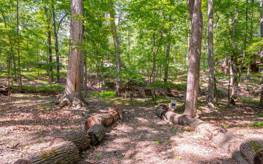 When Nature Is a Savior