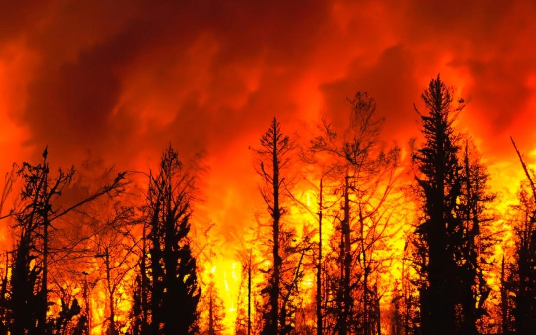 Stay Woke, My Friends