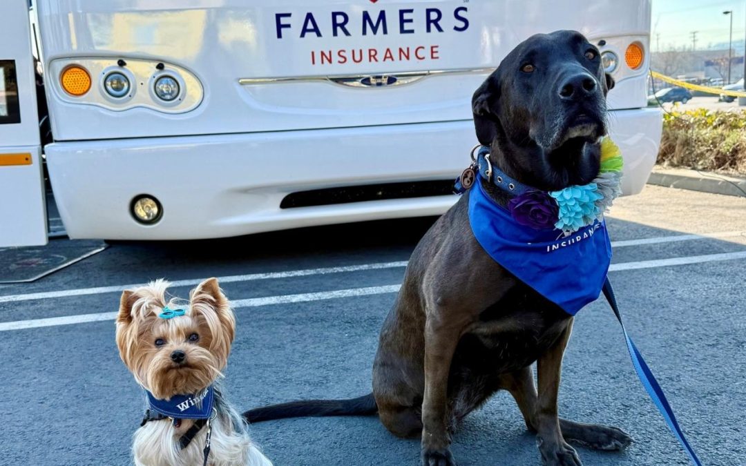 Pet Partners Volunteers Step in When Others Are in Crisis