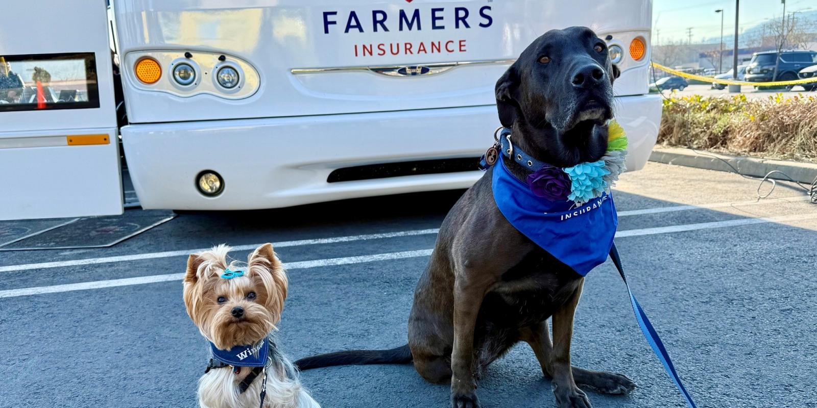 pet_partners_winston-and-joycropped pet_partners_winston-and-joycropped