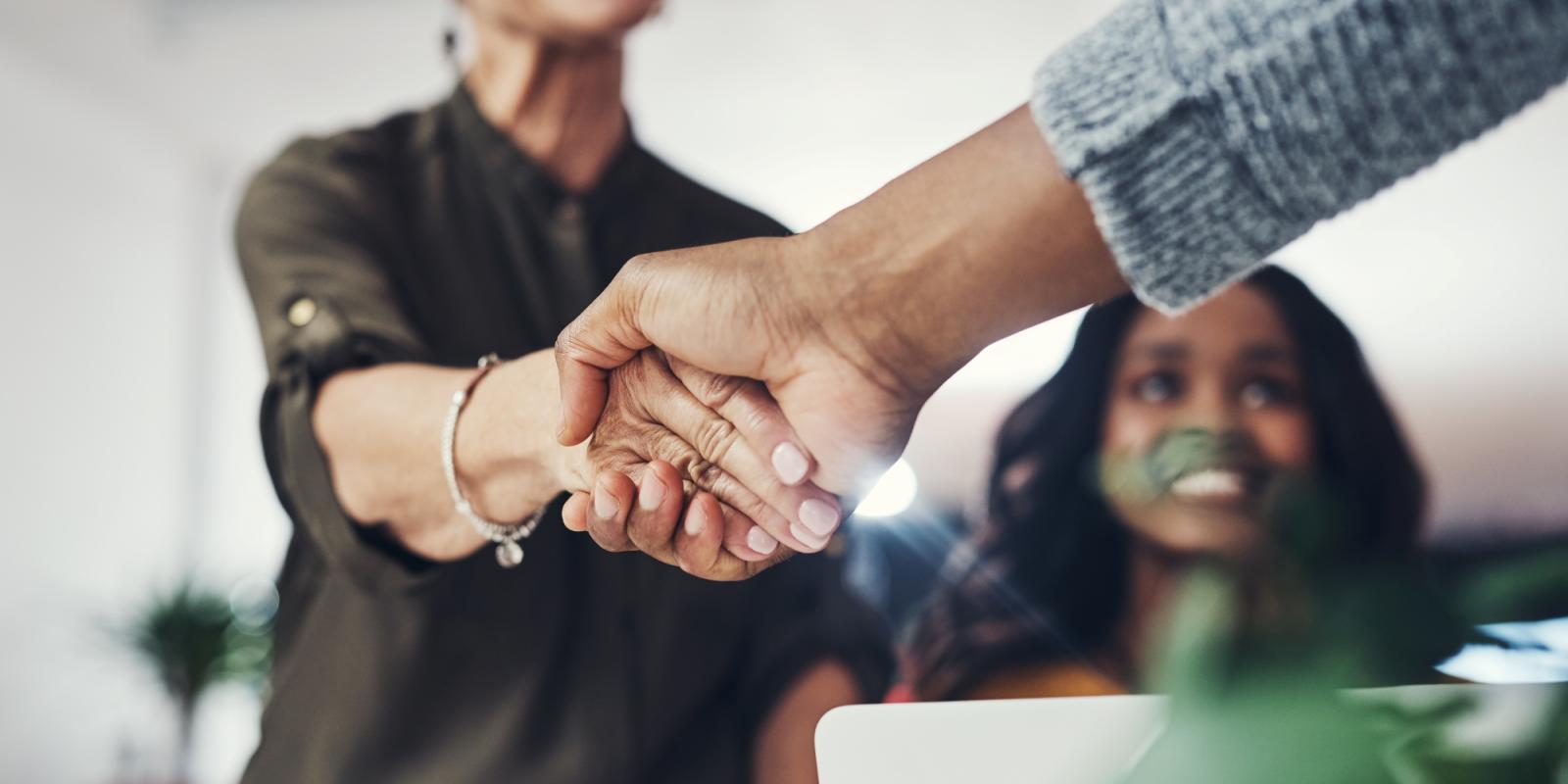 buffel_photo buffel_photo