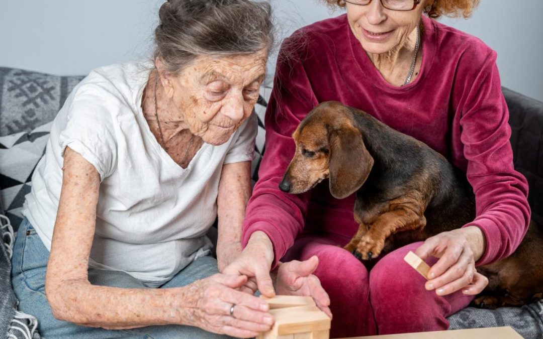 Dementia-Friendly Communities as a Catalyst for Cross-Sector Collaboration