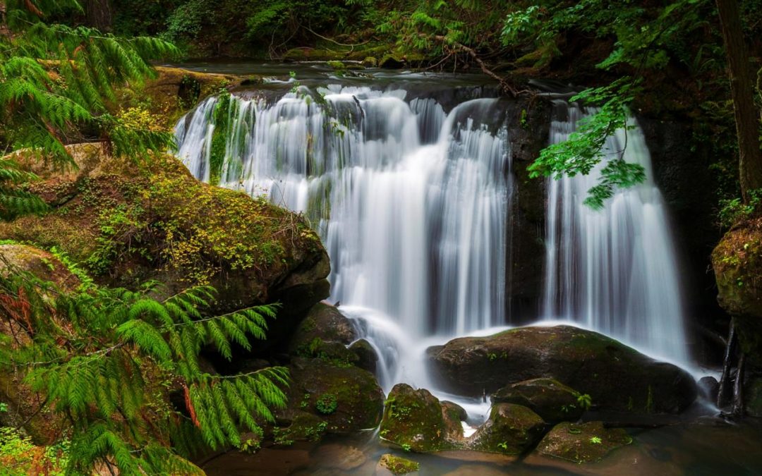 Understanding and Addressing the Needs of Tribal Elders in Washington State