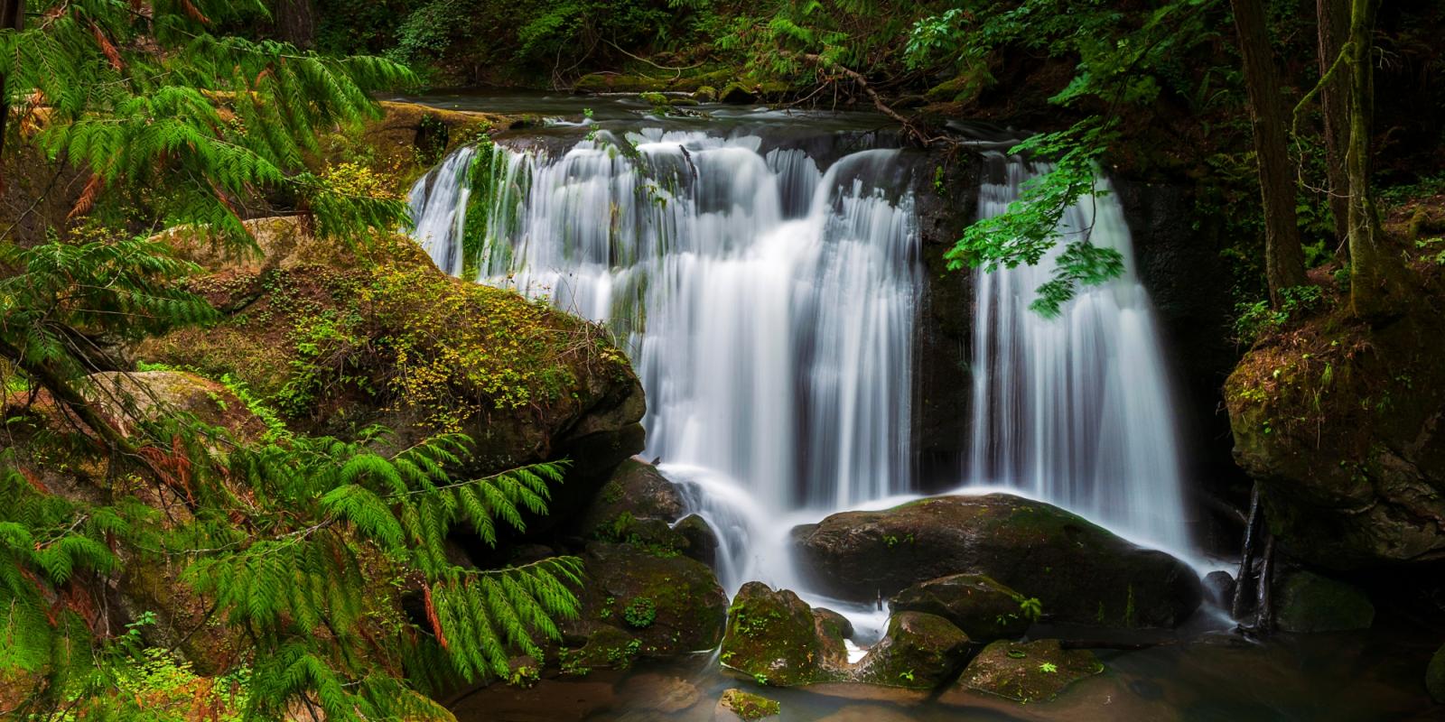 getz_and_juarez_photo