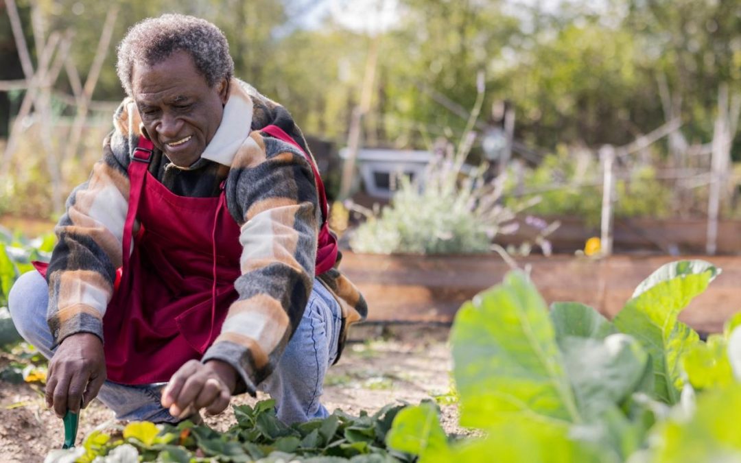 The Evolution and Promise of Age-Friendly Ecosystems in Rural Communities