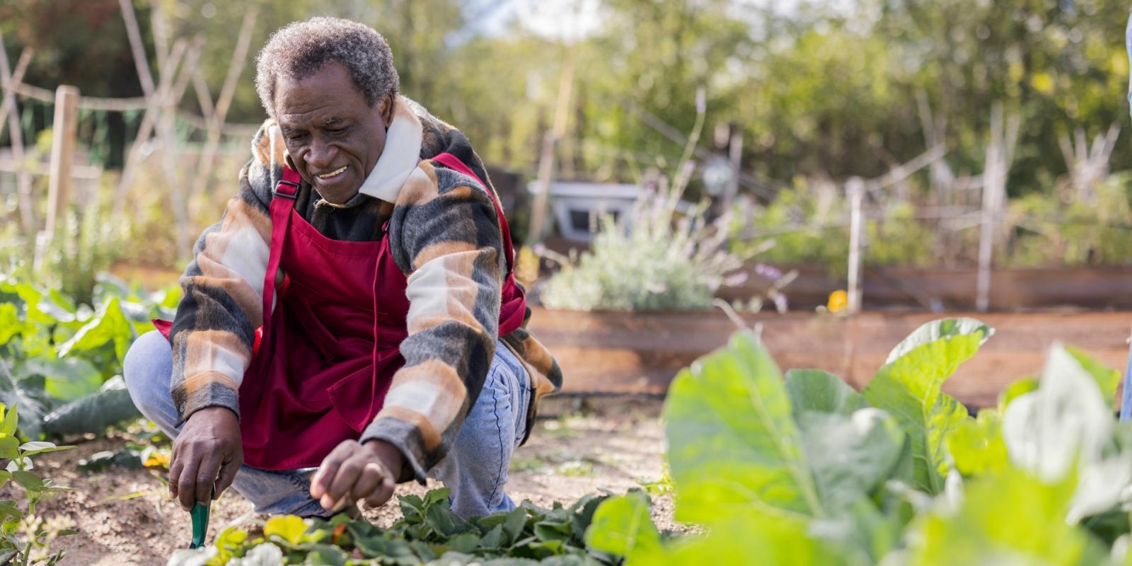 yeboah_et_al_photo yeboah_et_al_photo