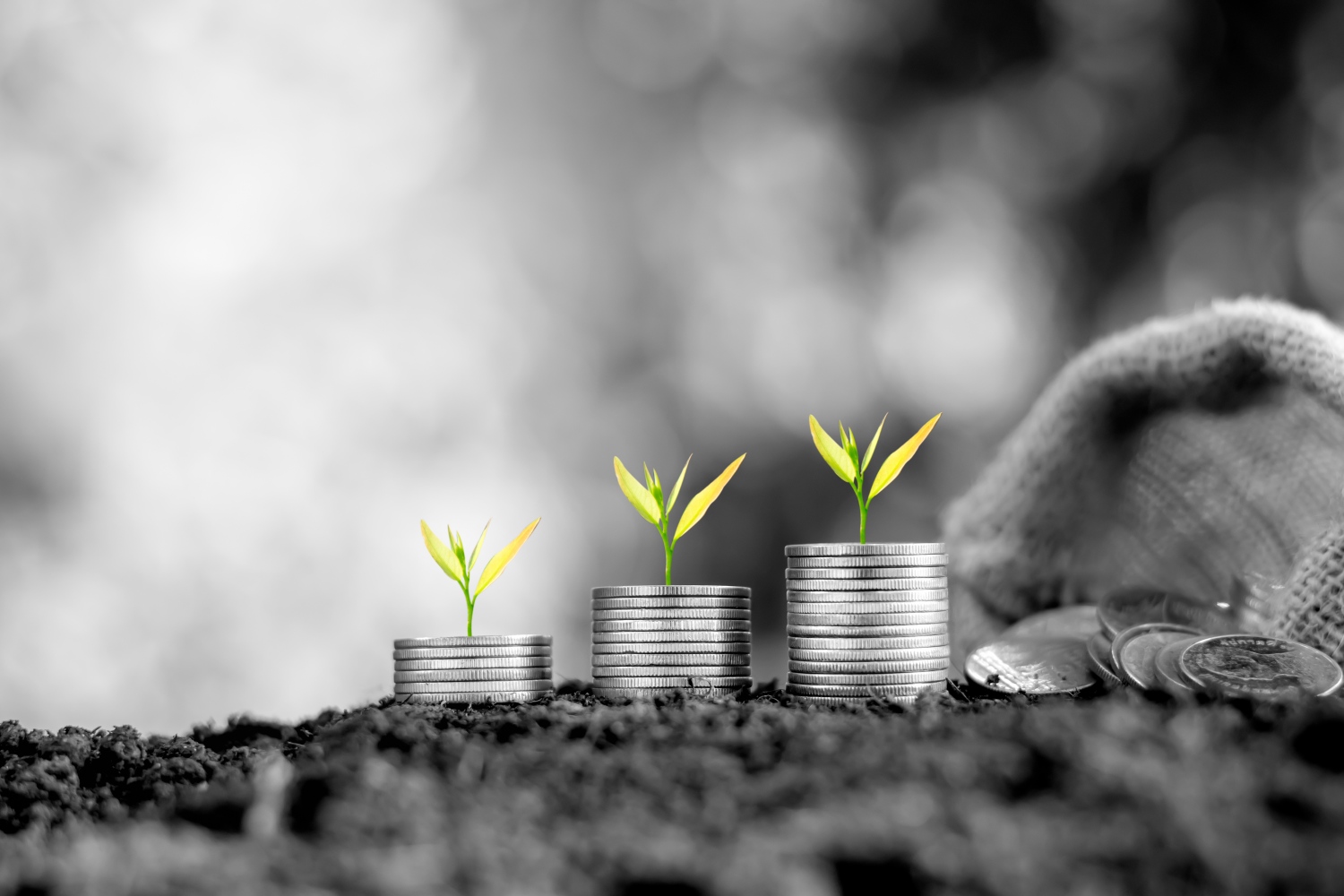 Chan and Gronninger photo