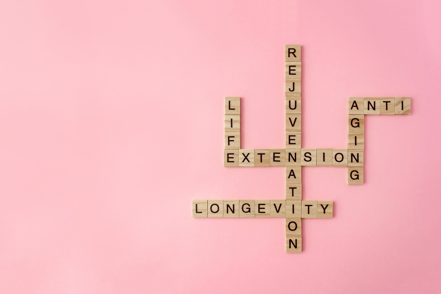 End of Ageing large photo